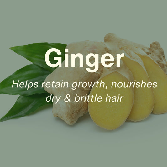 All-In-One Botanical Hair Cream