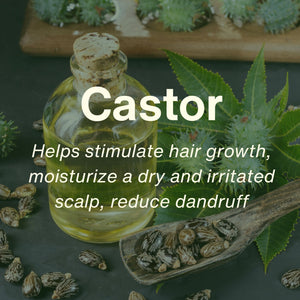 All-In-One Botanical Hair Cream